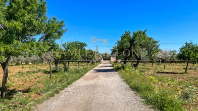 Rustic house in Búger photo 40