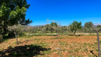 Rustic house in Búger photo 42