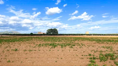 Rustic farm in Sa Pobla photo 3