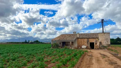 Rustic farm in Sa Pobla photo 6
