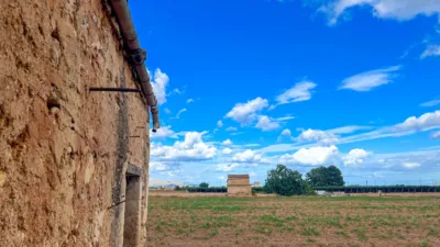 Rustic farm in Sa Pobla photo 11