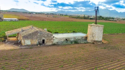 Rustic farm in Sa Pobla photo 16