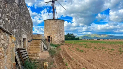 Rustic farm in Sa Pobla photo 9