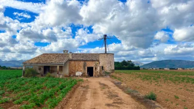 Rustic farm in Sa Pobla photo 5