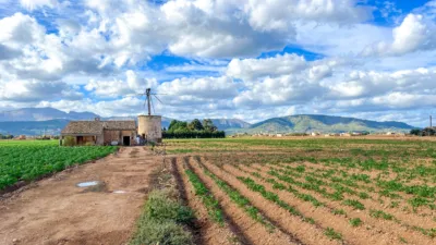Rustic farm in Sa Pobla photo 4
