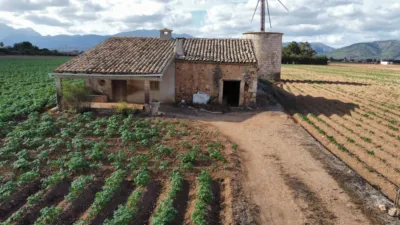 Rustic farm in Sa Pobla photo 14