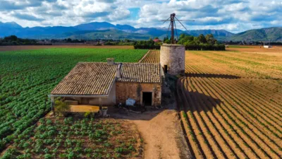 Rustic farm in Sa Pobla photo 15