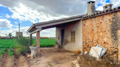 Rustic farm in Sa Pobla photo 7