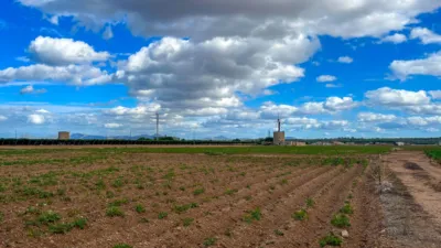 Rustic farm in Sa Pobla photo 10