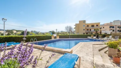 Apartment in Formentor photo 19