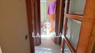 Apartment in Bellavista photo 11