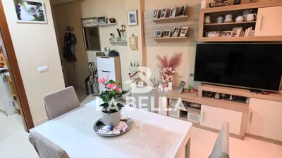 Apartment in Bellavista photo 9