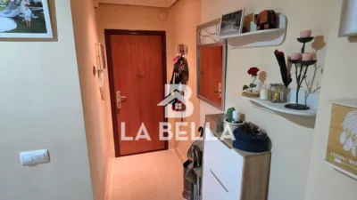Apartment in Bellavista photo 5