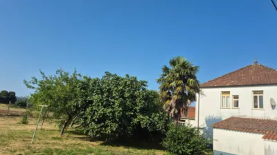 House on Canto Balo Street photo 34