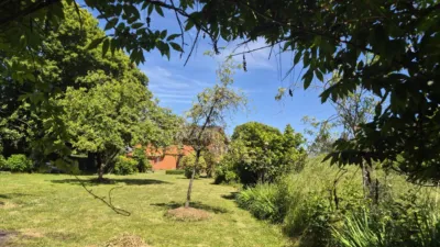 House on Calle Ril Arriba photo 34