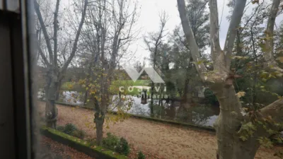 House on Paseo de Alameda photo 3
