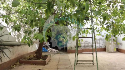 House in Casariche photo 17