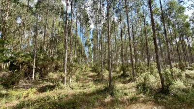 Terreno en venta en Vía Lugar Fieira - Más