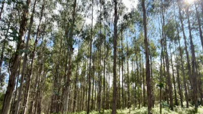 Terreno en venta en Vía Lugar Fieira - Vista 3