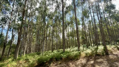 Terreno en venta en Vía Lugar Fieira - Vista 2