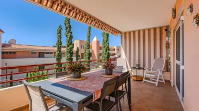 Apartment on Calle El Sauce photo 3