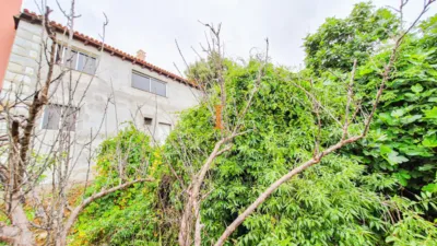 Rustic house on Camino de Lomo de la Cruz photo 17