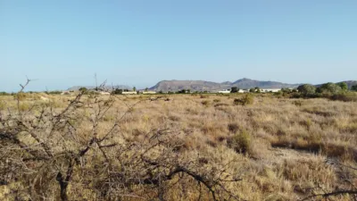 Terreno en venta en Calle Escandella - Vista 4