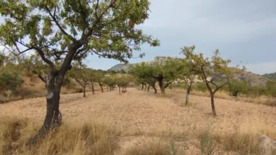 Terreno en venta en Calle Sarganella - Vista 3