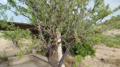 Terreno en venta en Calle Sarganella - Vista 5