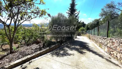 Detached house in Cervelló photo 46