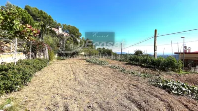Detached house in Cervelló photo 48