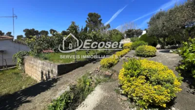 Chalet unifamiliar en Carrer Major, 316 photo 6