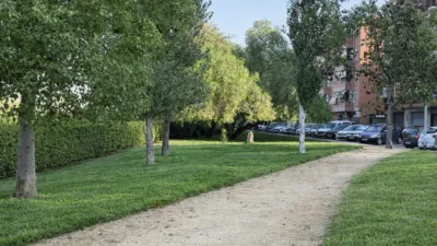 Apartment in Molins de Rei photo 47