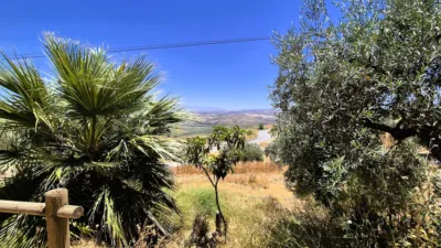 Rustic Finca in Loja photo 6