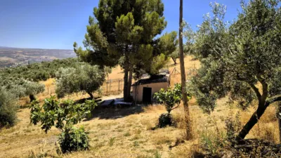 Rustic Finca in Loja photo 8