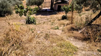 Rustic Finca in Loja photo 9