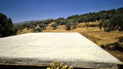 Rustic Finca in Loja photo 15