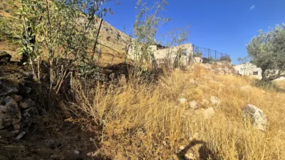 Rustic farm in Loja photo 3