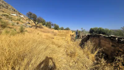 Rustic farm in Loja photo 16