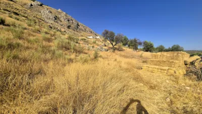 Rustic farm in Loja photo 19