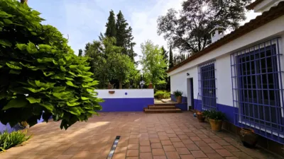 Rustic Finca in Salinas photo 63