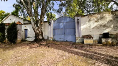 Rustic Finca in Salinas photo 100
