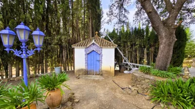 Rustic Finca in Salinas photo 68