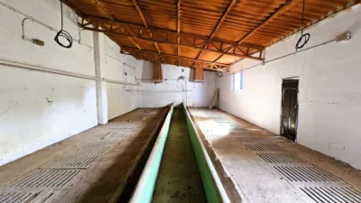 Rustic Finca in Salinas photo 88