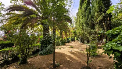 Rustic Finca in Salinas photo 73