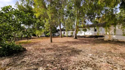 Rustic Finca in Salinas photo 95