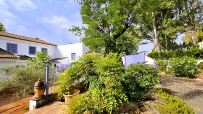 Rustic Finca in Salinas photo 4
