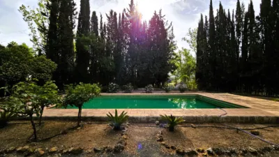 Rustic Finca in Salinas photo 67