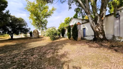 Rustic Finca in Salinas photo 99