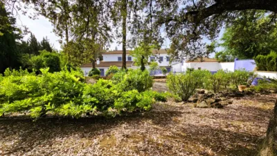 Rustic Finca in Salinas photo 98